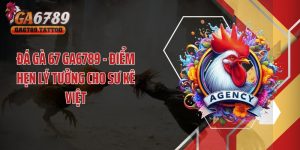 Đá Gà 67 GA6789 - Điểm Hẹn Lý Tưởng Cho Sư Kê Việt