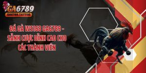 Đá Gà WS168 GA6789 - Sảnh Cược Đỉnh Cao Cho Các Thành Viên