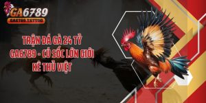 Trận Đá Gà 24 Tỷ GA6789 - Cú Sốc Lớn Giới Kê Thủ Việt